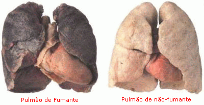 imagem do Google